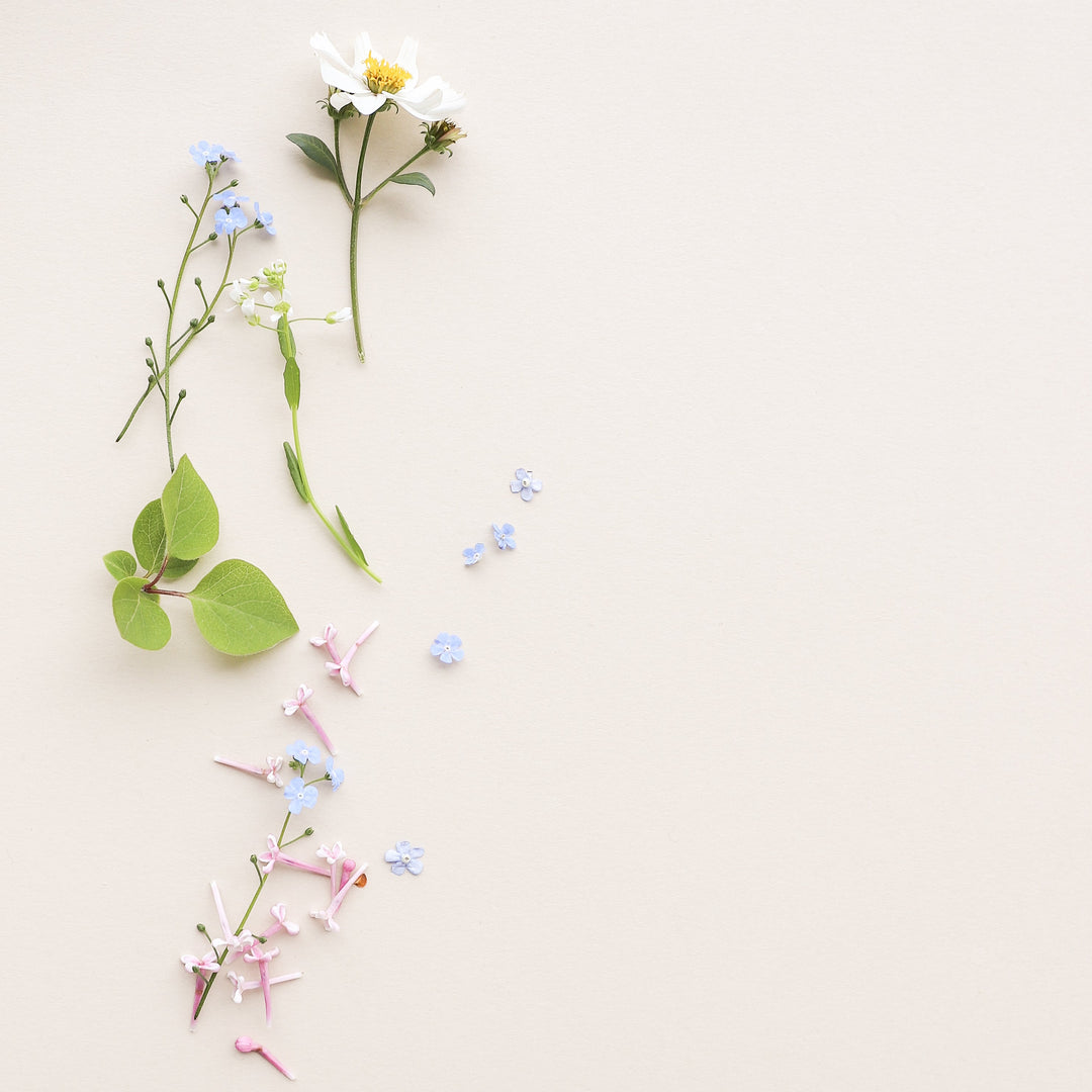 Customer Faves for Spring