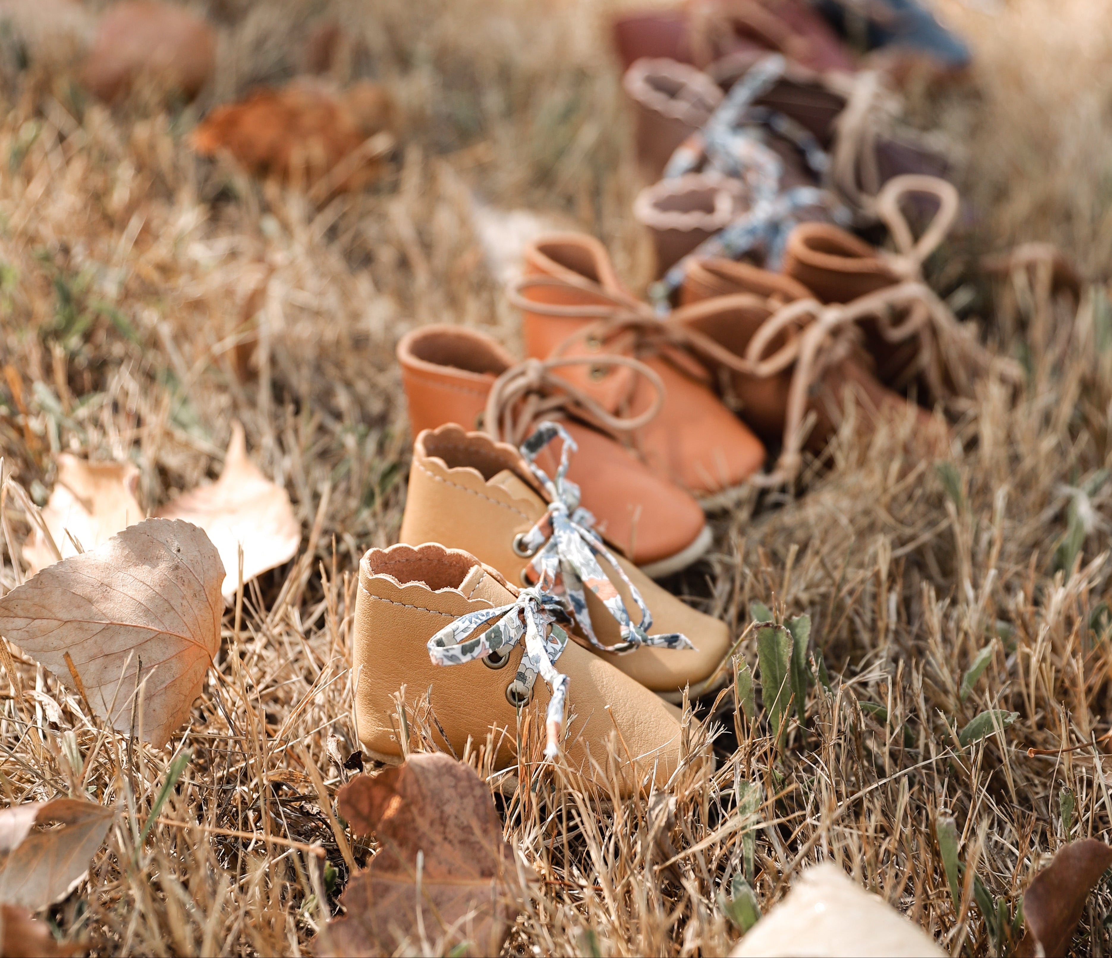 baby boots lined up on fall nature