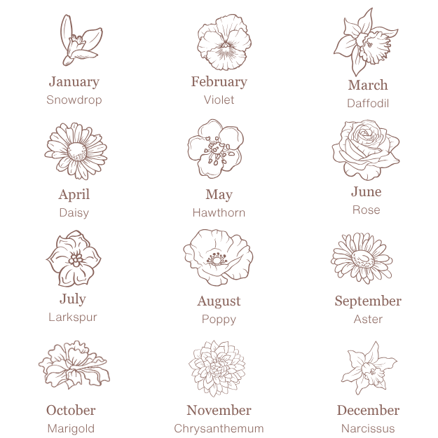 Birth flower chart showing all 12 months with corresponding flowers